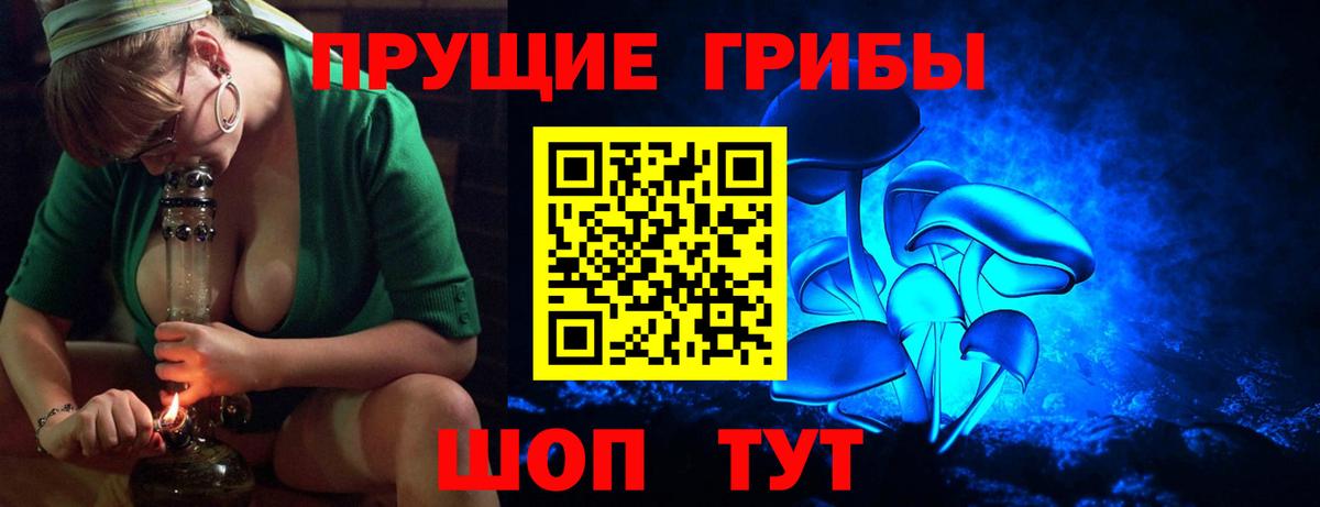 Галлюциногенные грибы Psilocybine cubensis  Псилоцибиновые грибы мицелий  Вход с VPN  Железногорск 